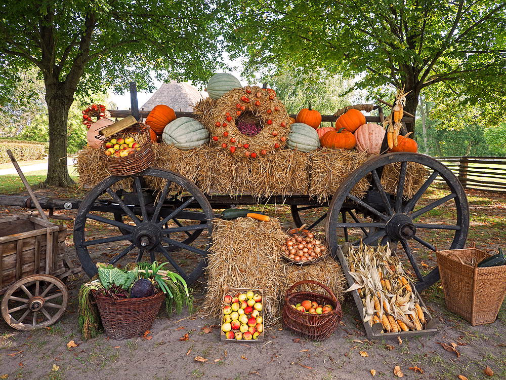 zur Übersicht Herbst 3