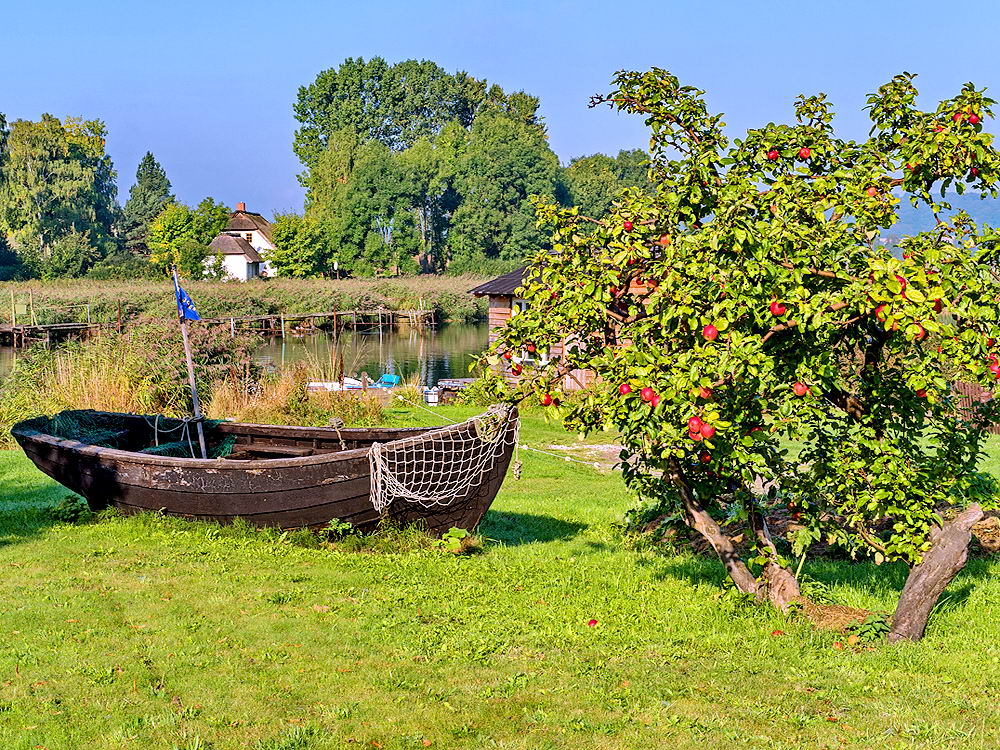 zur Übersicht Herbst 3