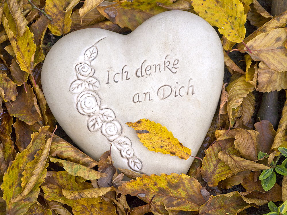 zur Übersicht Herzen 5