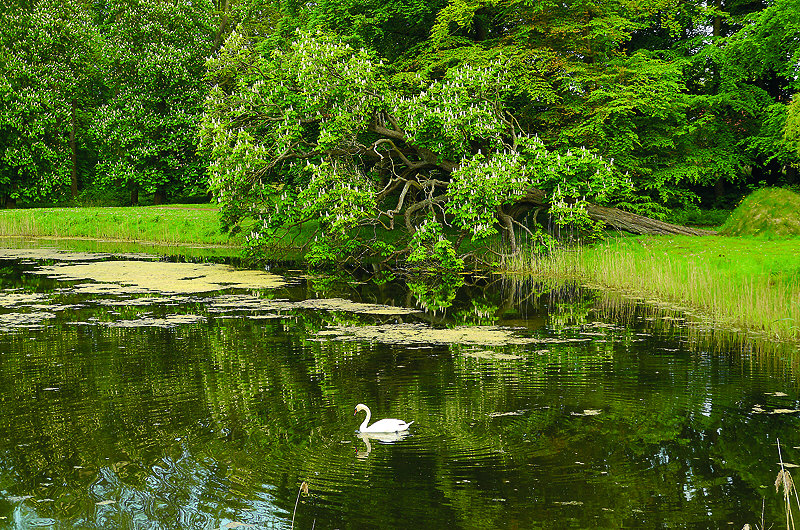 zur Übersicht Idyllische Plätzchen 2