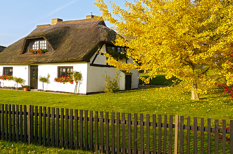 zur Übersicht Idyllische Plätzchen 3