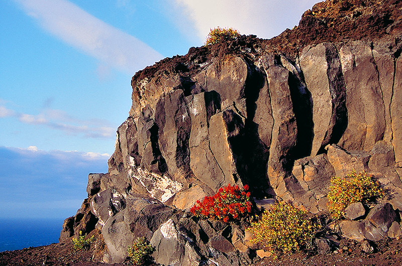 zur Übersicht El Hierro