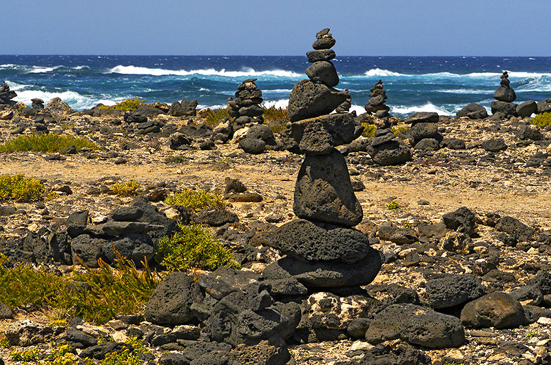 zur Übersicht Fuerteventura