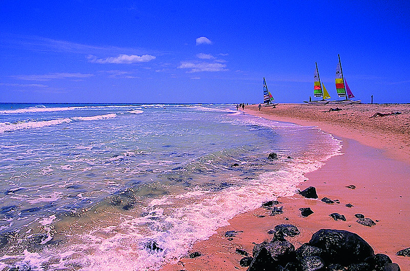 zur Übersicht Fuerteventura