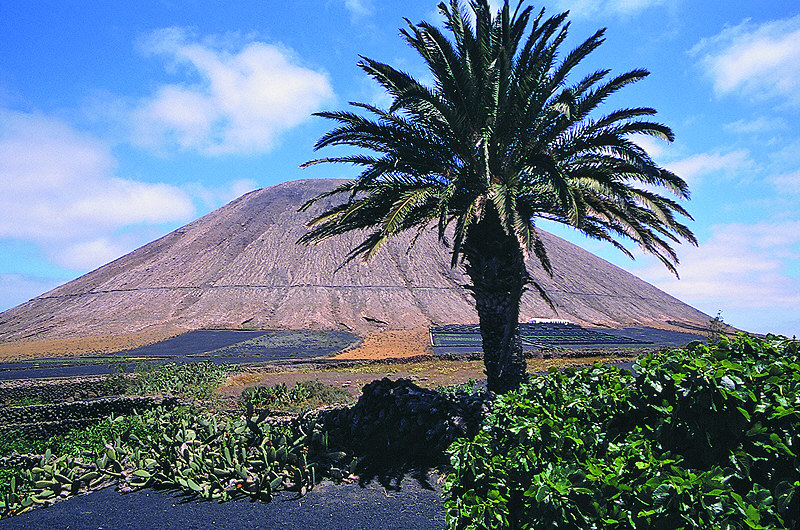 zur Übersicht Lanzarote