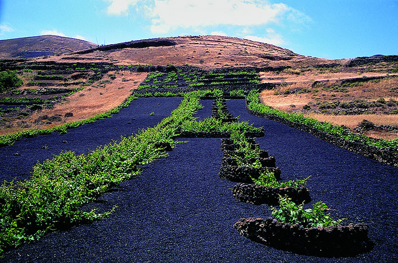 zur Übersicht Lanzarote