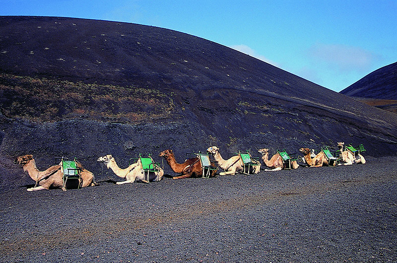 zur Übersicht Lanzarote