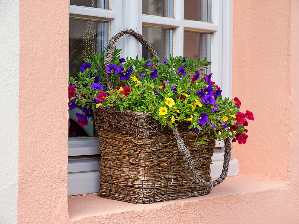 zur &Uuml;bersicht Lebensr&auml;ume 5