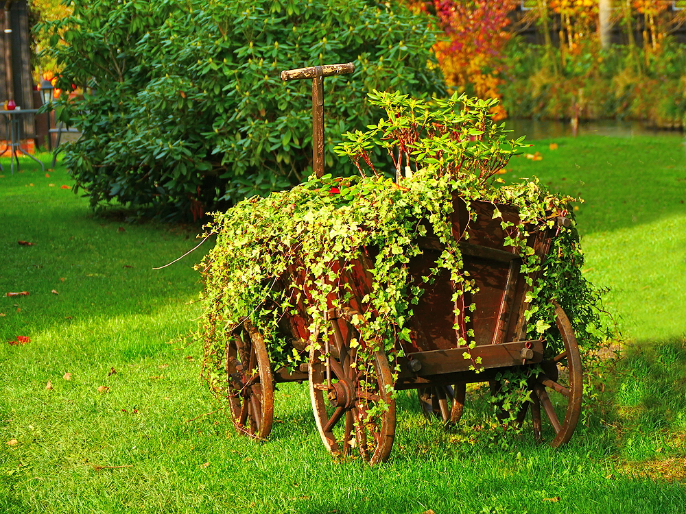 zur &Uuml;bersicht Lebensr&auml;ume 5