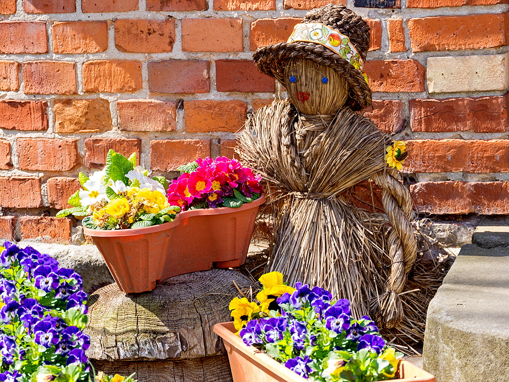 zur &Uuml;bersicht Lebensr&auml;ume 5