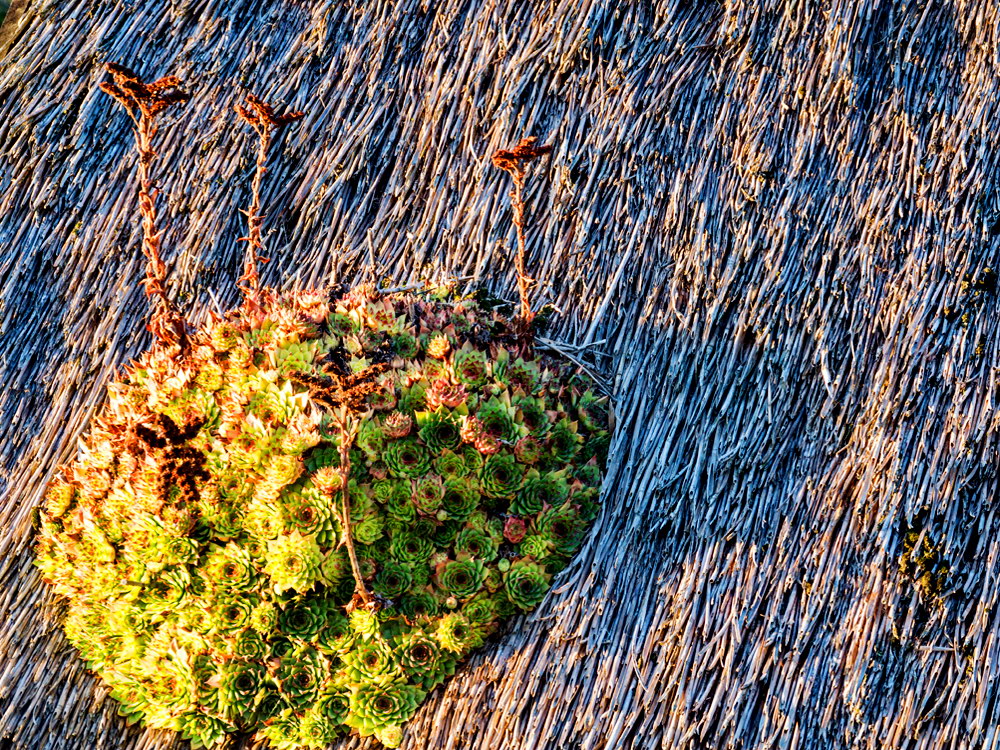 zur &Uuml;bersicht Lebensr&auml;ume 5