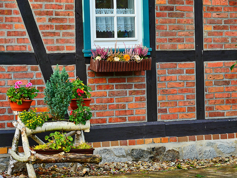 zur &Uuml;bersicht Lebensr&auml;ume 5