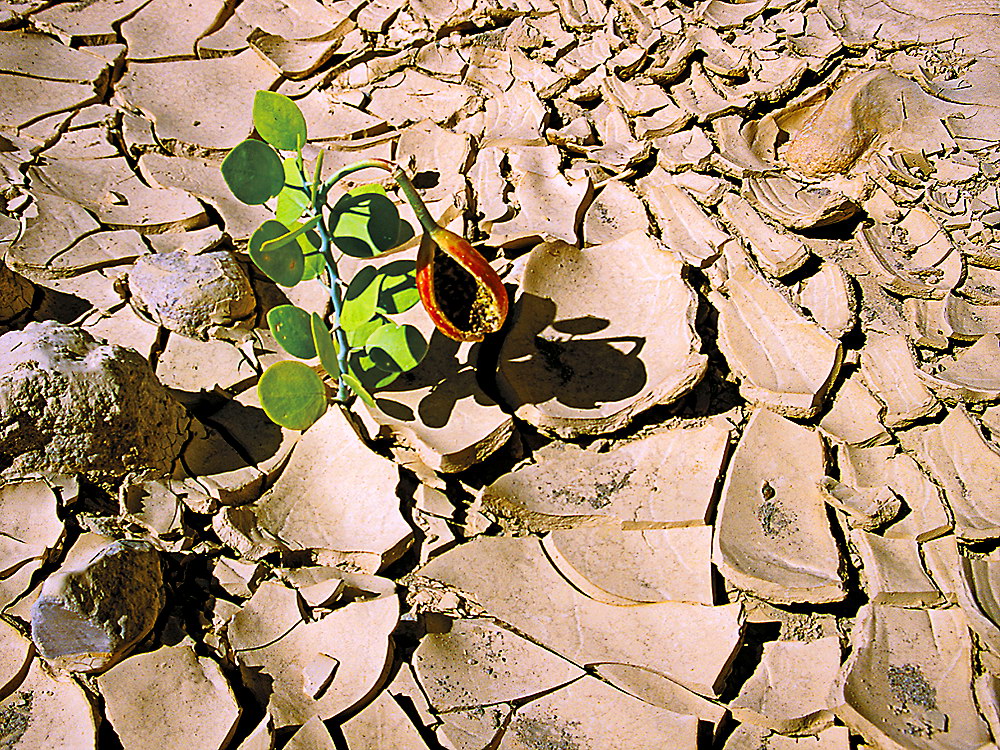 zur &Uuml;bersicht Lebensr&auml;ume 6