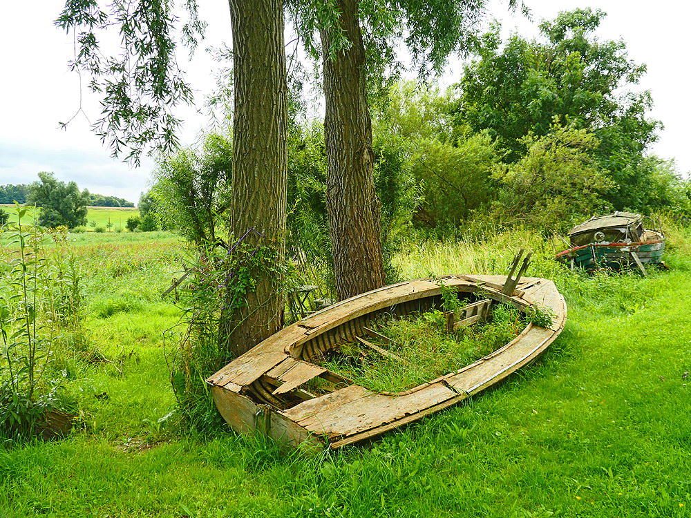 zur &Uuml;bersicht Lebensr&auml;ume 6