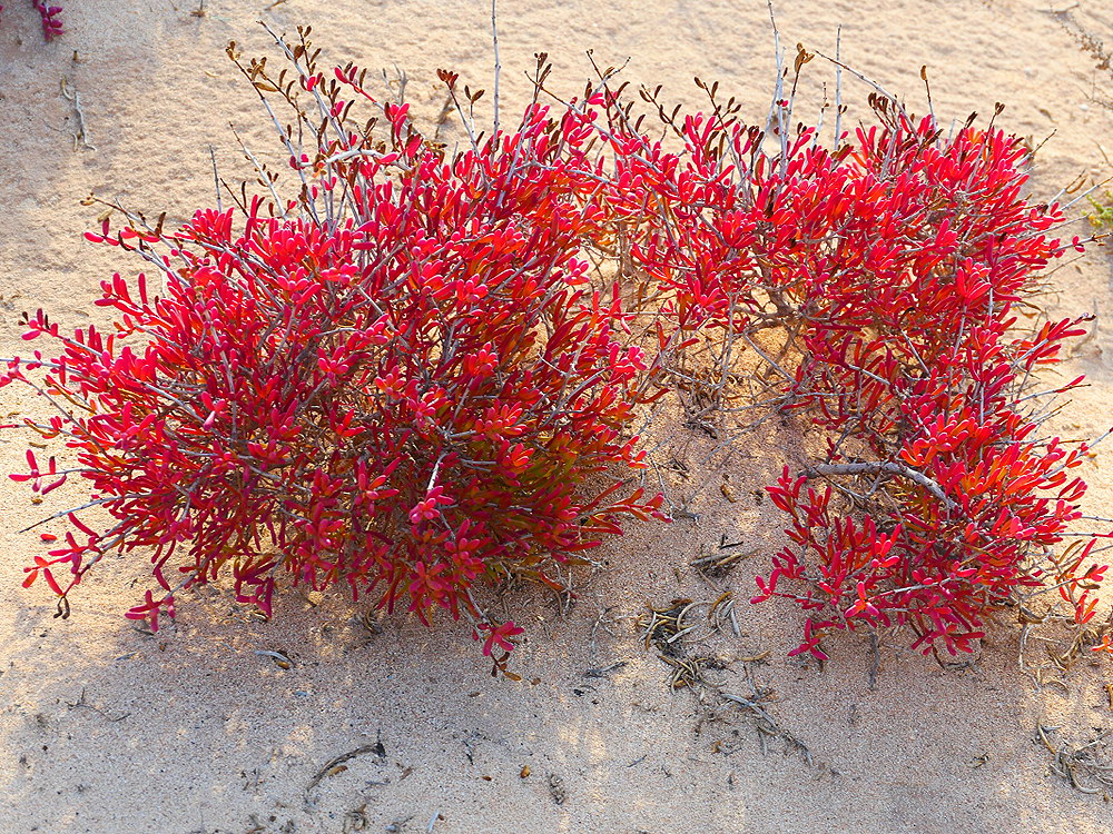 zur &Uuml;bersicht Lebensr&auml;ume 6