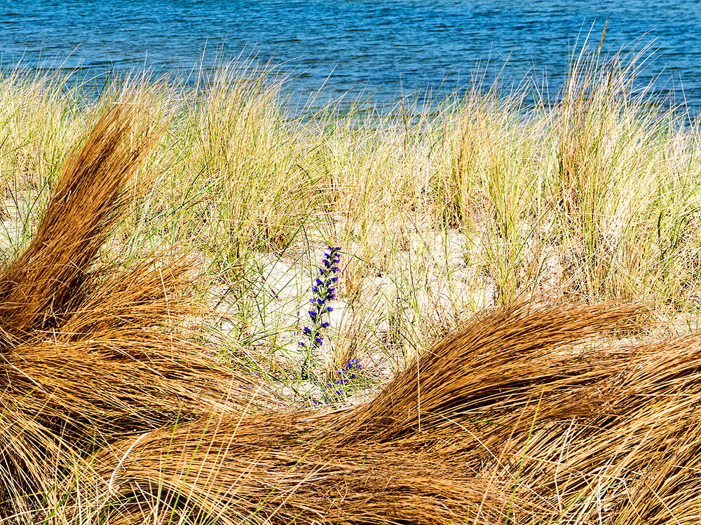 zur &Uuml;bersicht Lebensr&auml;ume 7