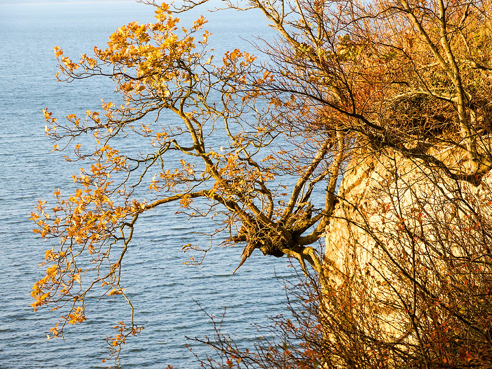 zur &Uuml;bersicht Lebensr&auml;ume 7