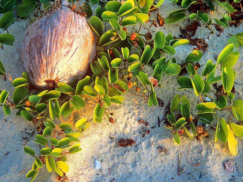 zur &Uuml;bersicht Lebensr&auml;ume 7