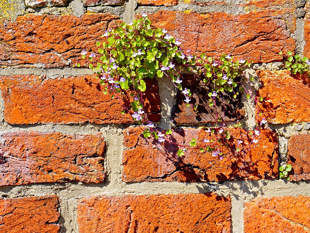 zur &Uuml;bersicht Lebensr&auml;ume 7