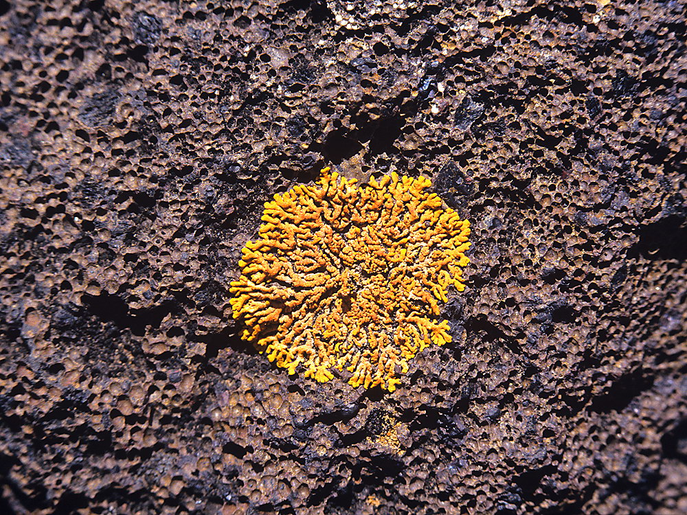 zur &Uuml;bersicht Lebensr&auml;ume 7