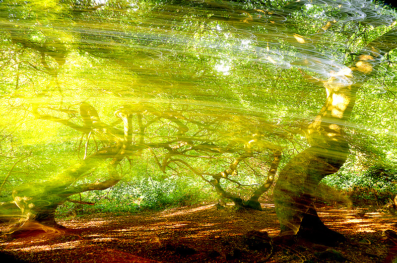 zur Übersicht Mit Licht gemalt 5