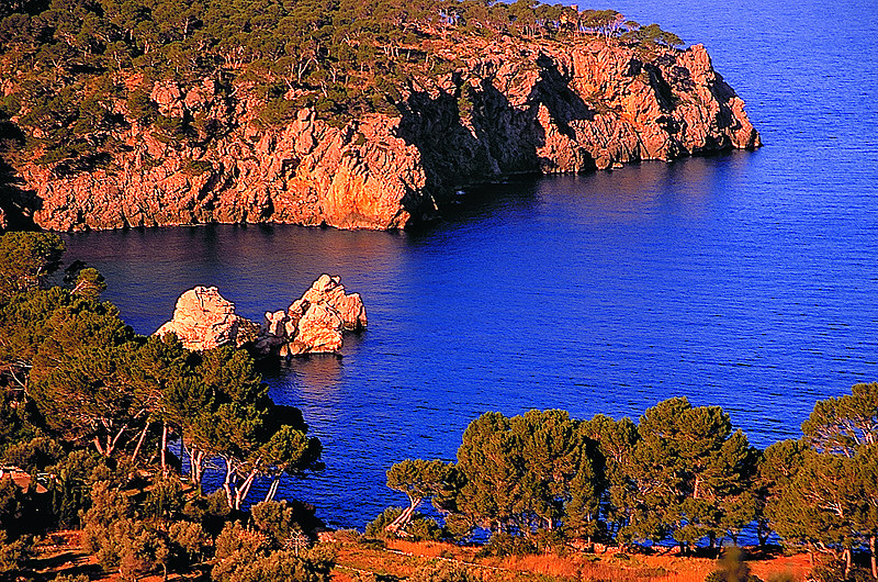 zur Übersicht Mallorca