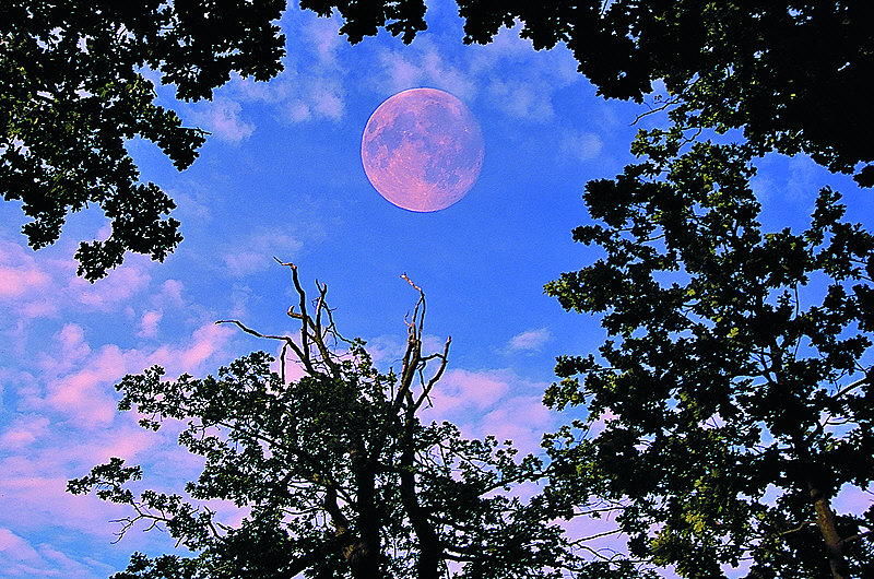 zur Übersicht Stiller Mond I