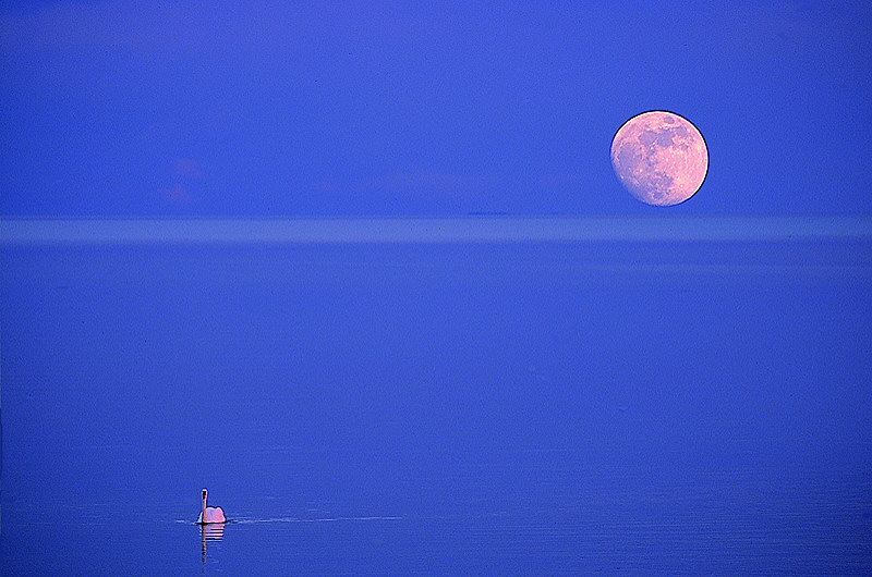 zur Übersicht Stiller Mond I