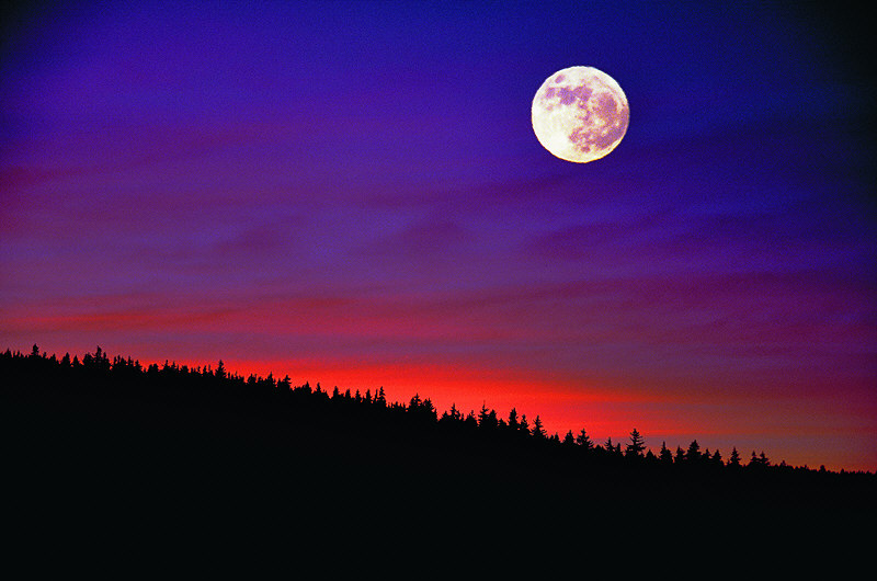 zur Übersicht Stiller Mond II