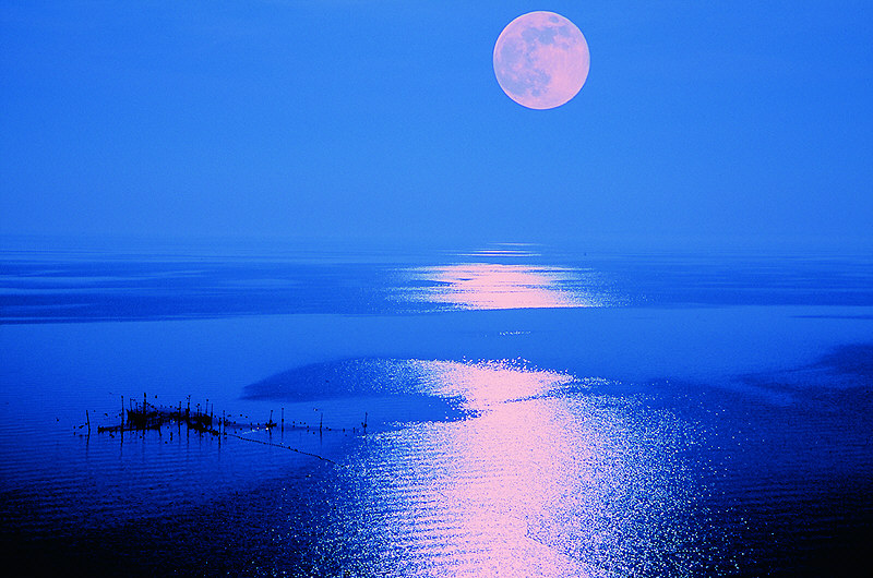 zur Übersicht Stiller Mond II