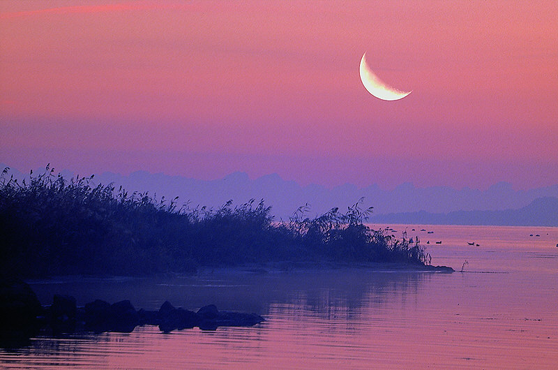 zur Übersicht Stiller Mond II