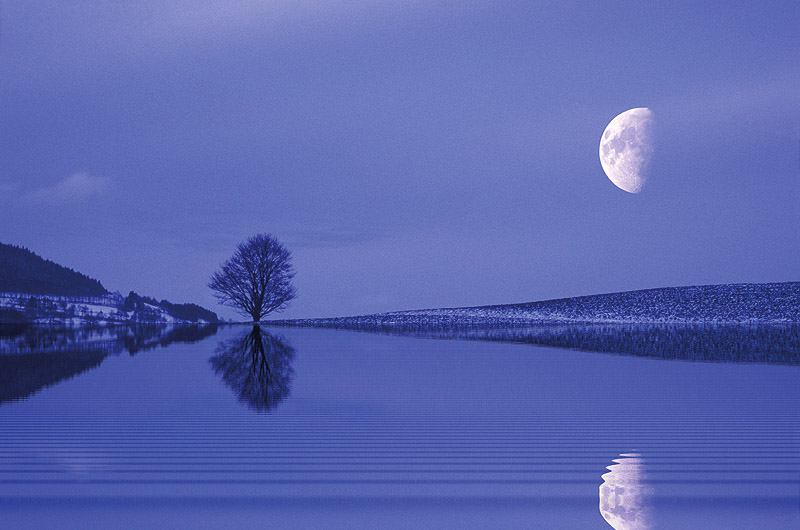 zur Übersicht Stiller Mond 3