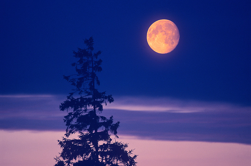 zur Übersicht Stiller Mond 3