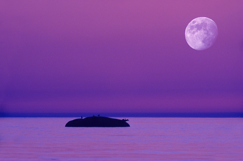 zur Übersicht Stiller Mond 3