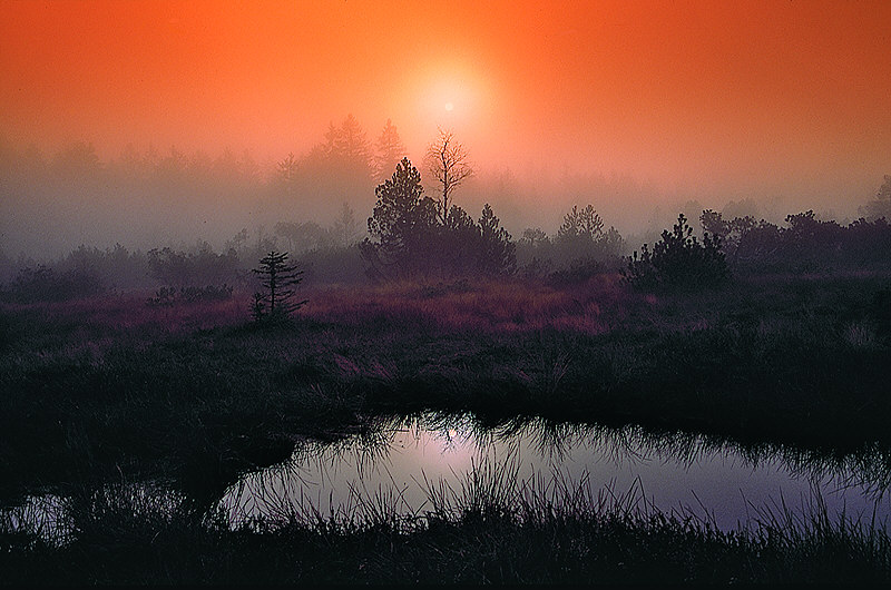 zur Übersicht Nebel I