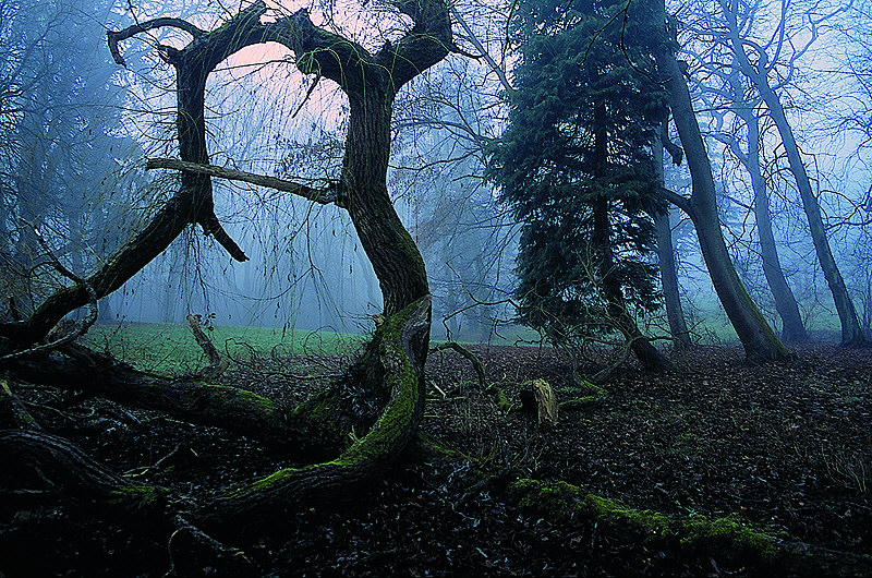 zur Übersicht Nebel I