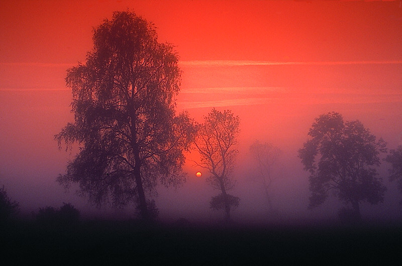 zur Übersicht Nebel I