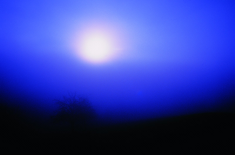 zur Übersicht Nebel I