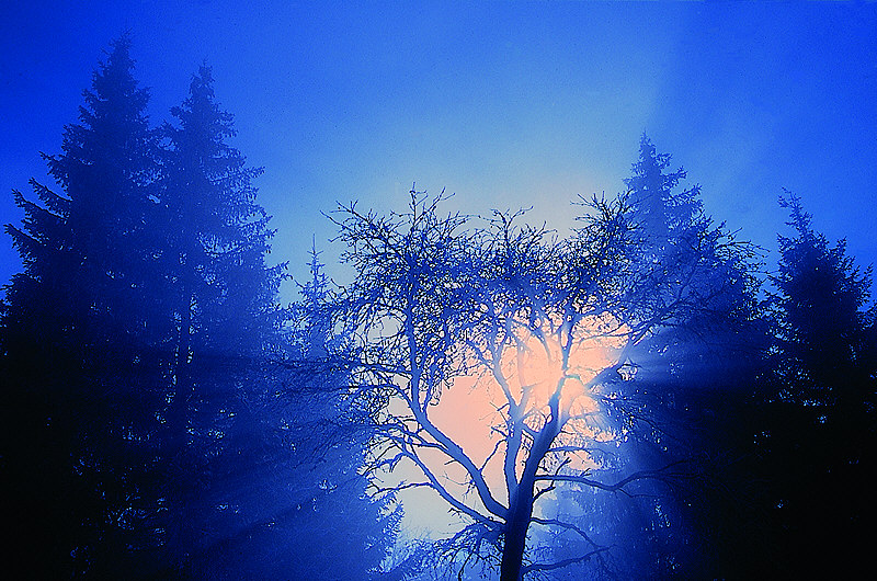 zur Übersicht Nebel I