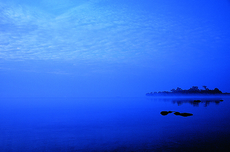 zur Übersicht Nebel I