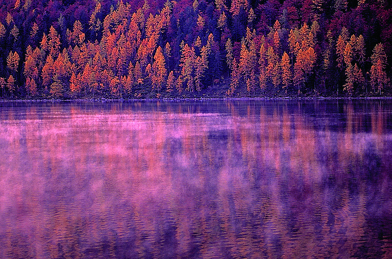 zur Übersicht Nebel I