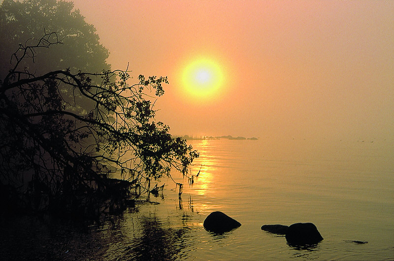 zur Übersicht Nebel II