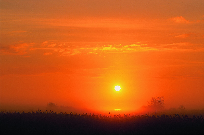 zur Übersicht Nebel II