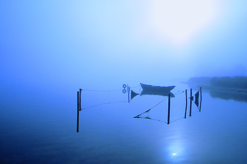 zur Übersicht Nebel II