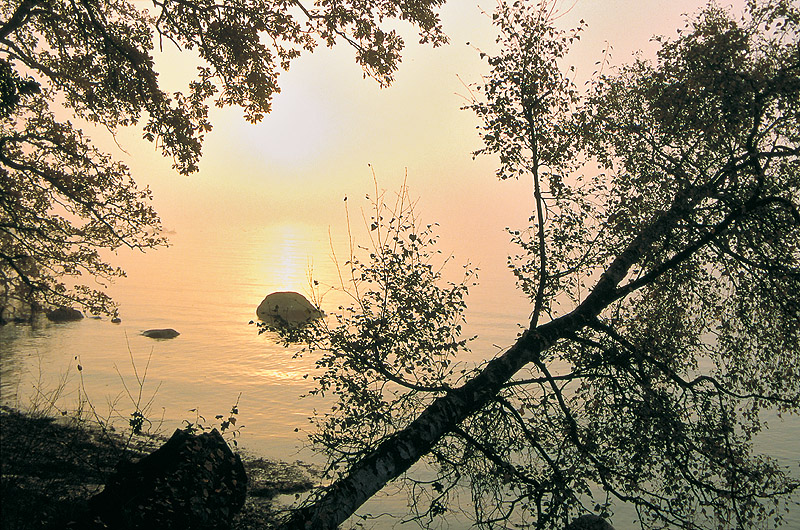 zur Übersicht Nebel III