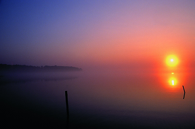 zur Übersicht Nebel III