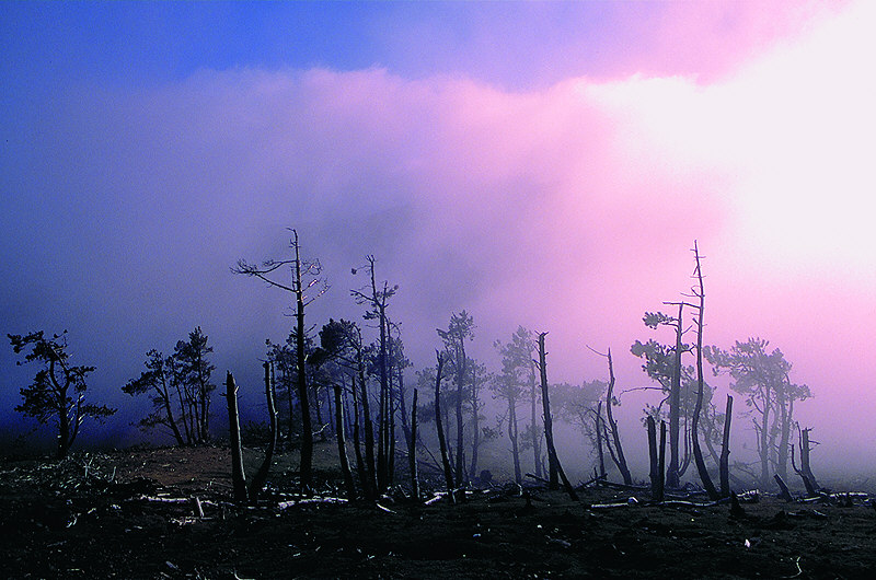 zur Übersicht Nebel III