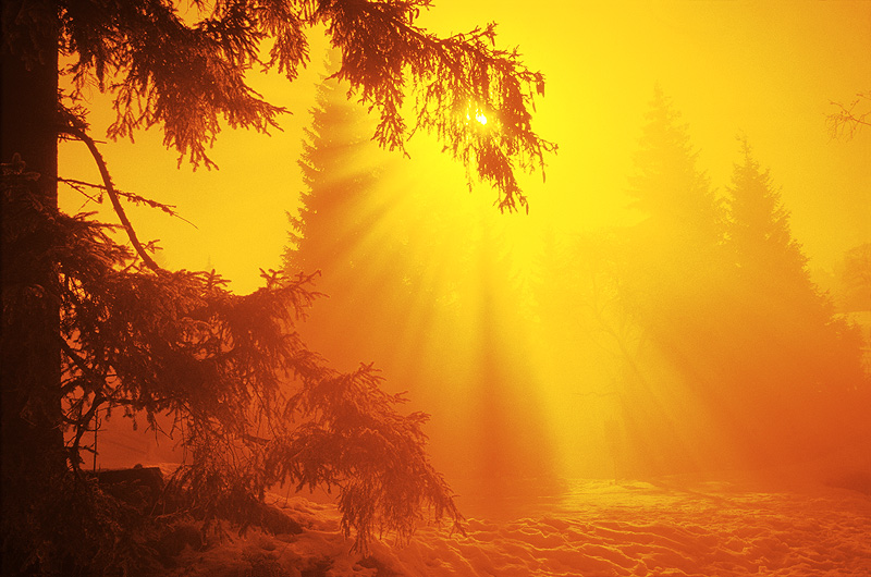 zur Übersicht Nebel 4