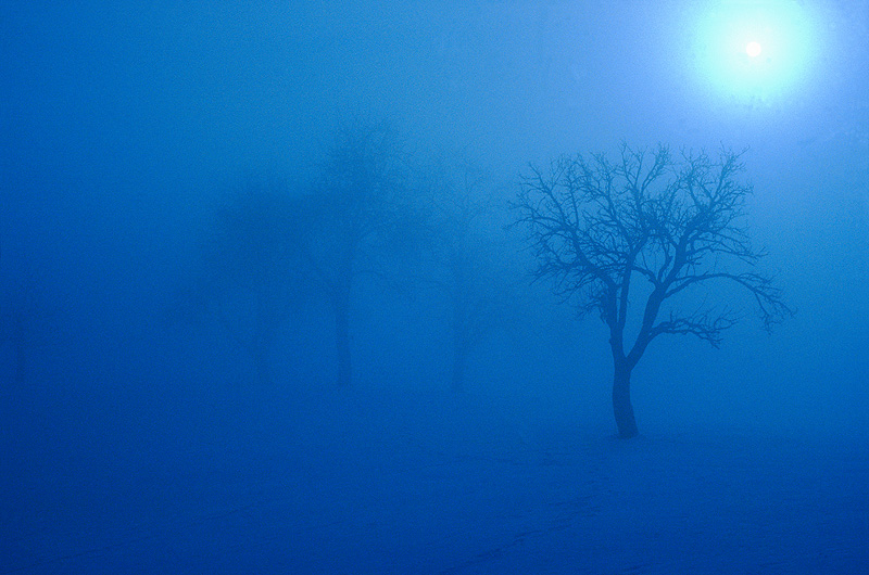 zur Übersicht Nebel 4