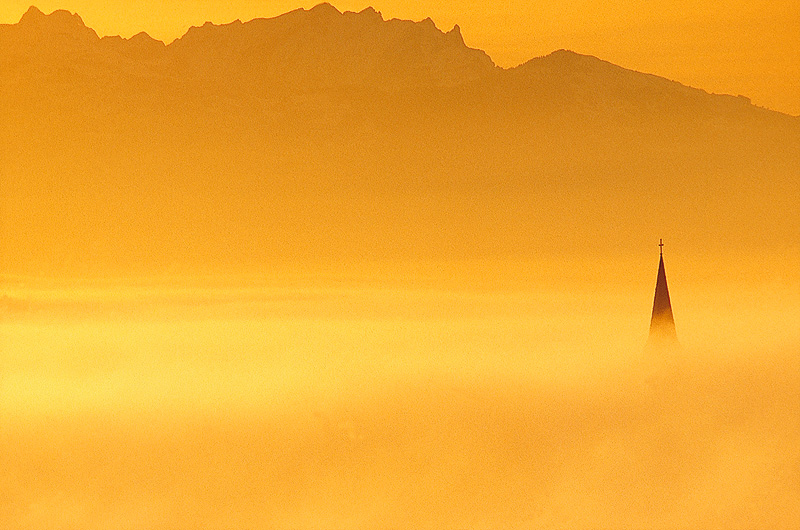 zur Übersicht Nebel 4